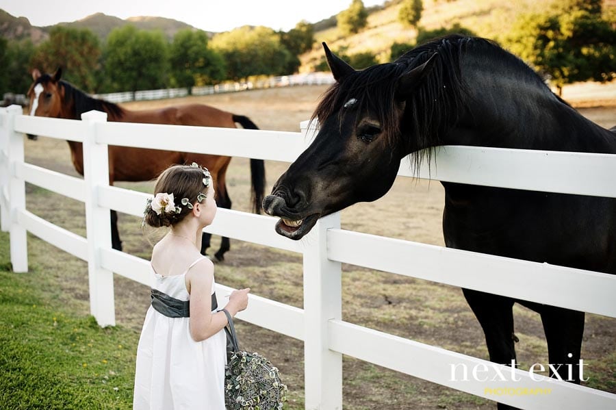 Saddlerock Ranch Wedding Photography